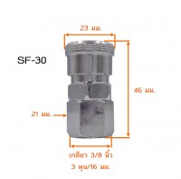 SF30 วัดไซต์